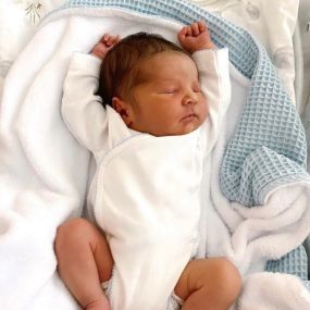 Manta Polar - Várias Cores 