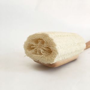 Luffa de Banho com Cabo