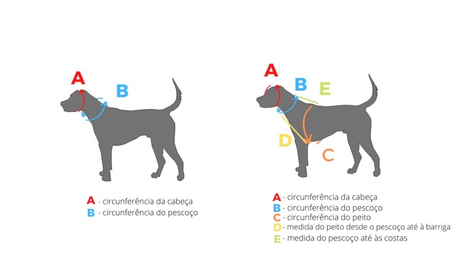 medição